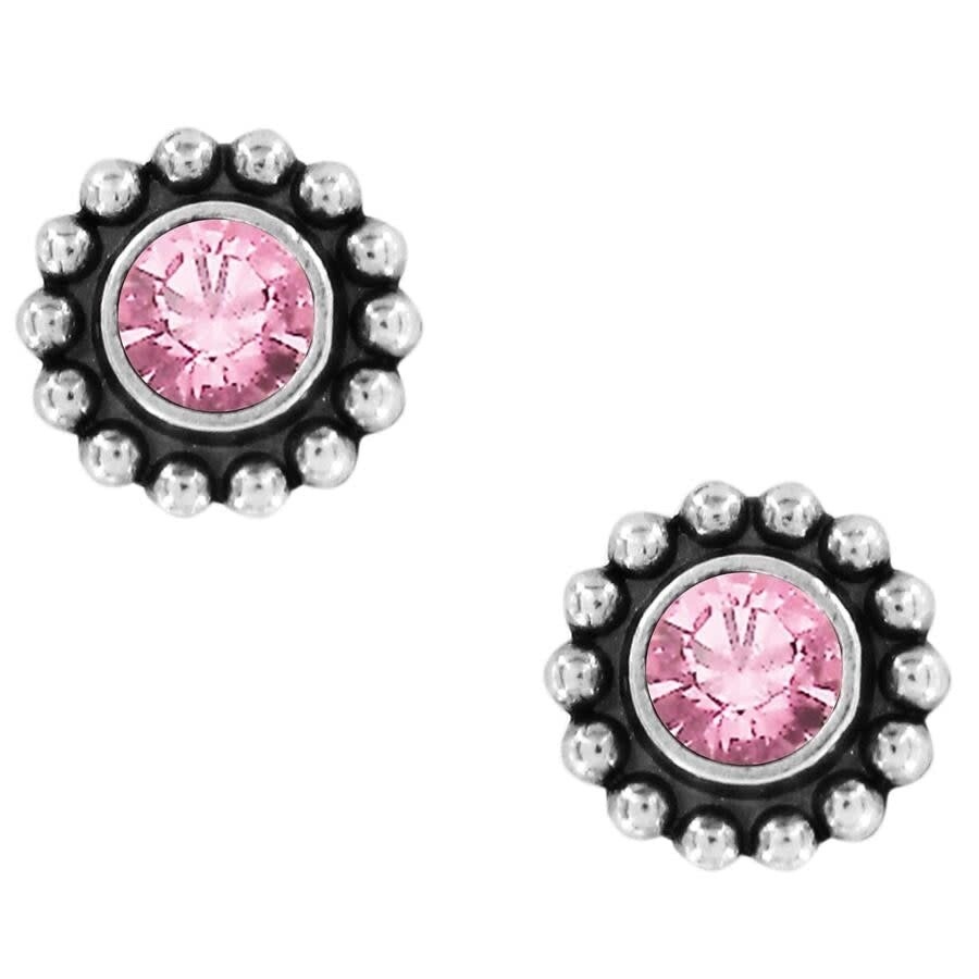 Twinkle Mini Post Earrings-Rose