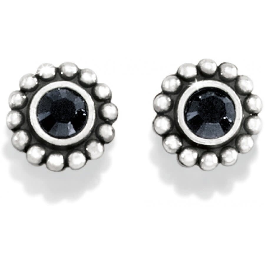 Twinkle Mini Post Earrings-Black