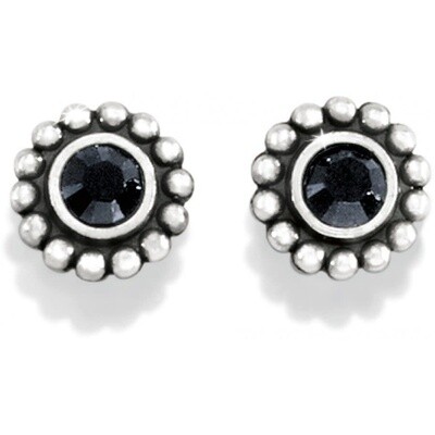 Twinkle Mini Post Earrings-Black