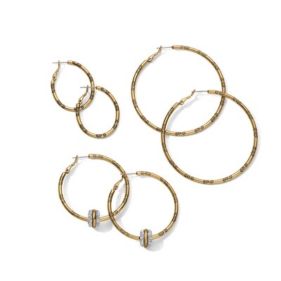 Oval Hoop Charm Earrings-Gold