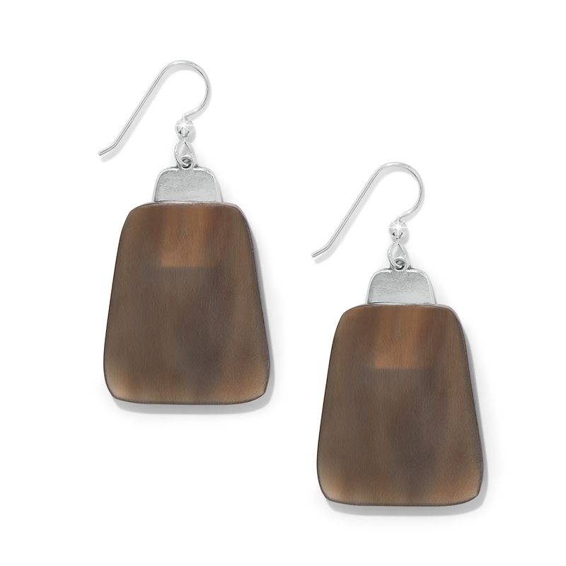 Pretty Tough Geo Horn French Wire Earrings