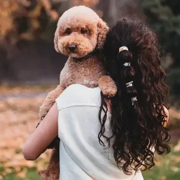 PAWS