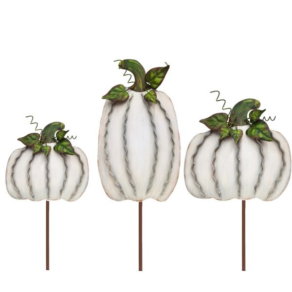 Cream Ribbon Pumpkin