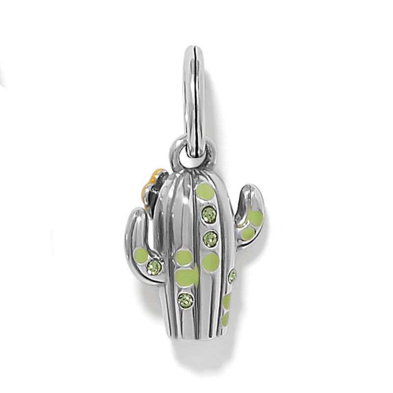 Desert Bloom Cactus Charm
