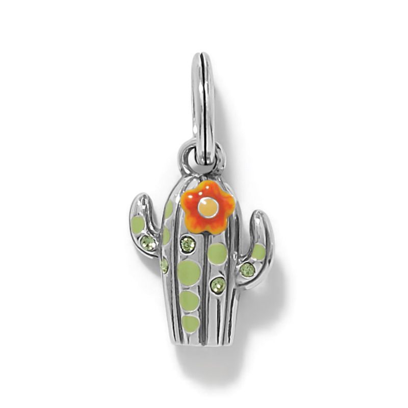 Desert Bloom Cactus Charm