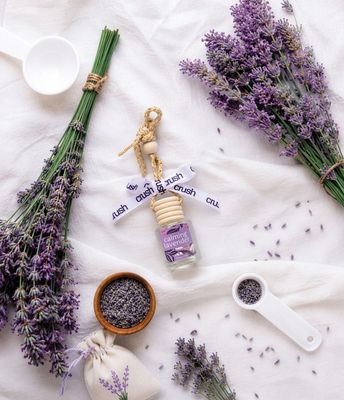 Hanging In There Scent Diffuser