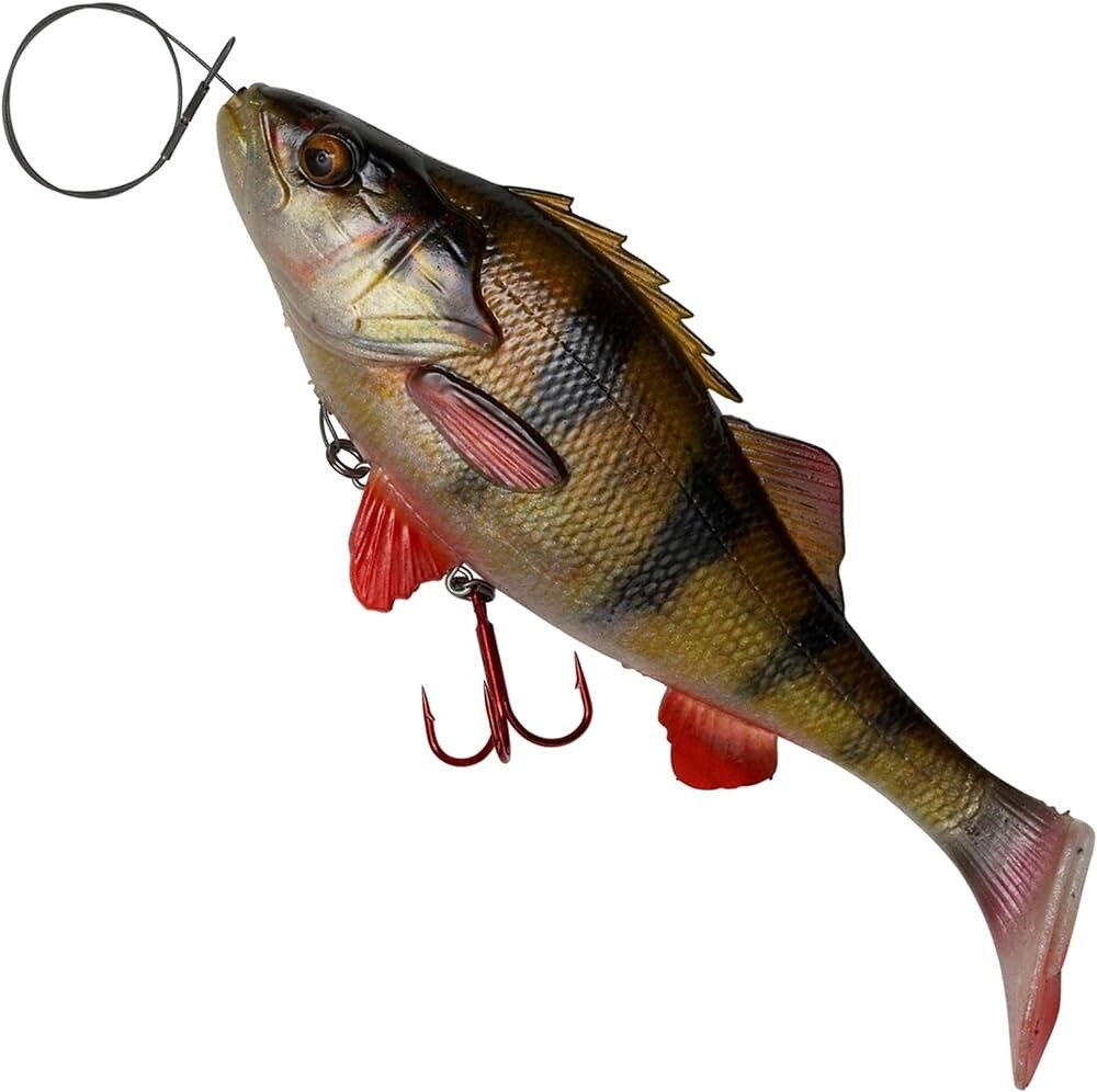 4D Line Thru Perch Shad