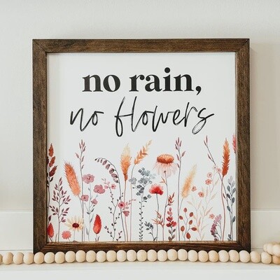 No Rain- No Flowers Sign
