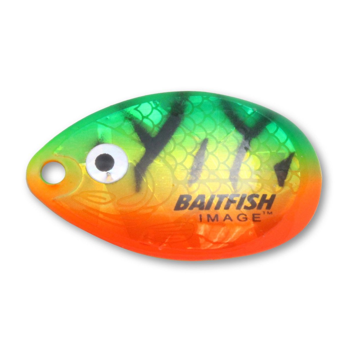 #5 Baitfish Image Blades: 3 pack