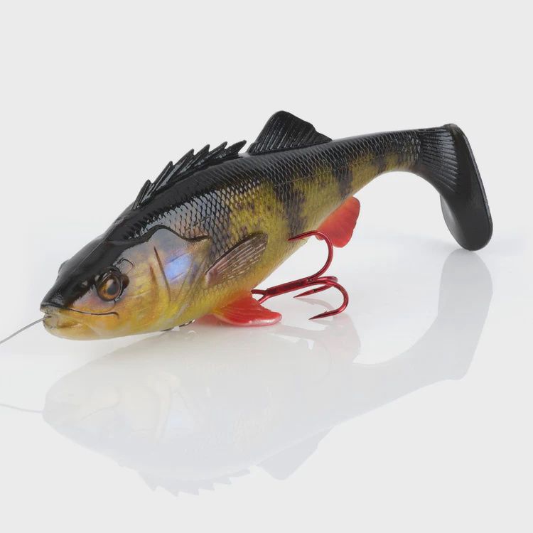 4D Line Thru Perch Shad