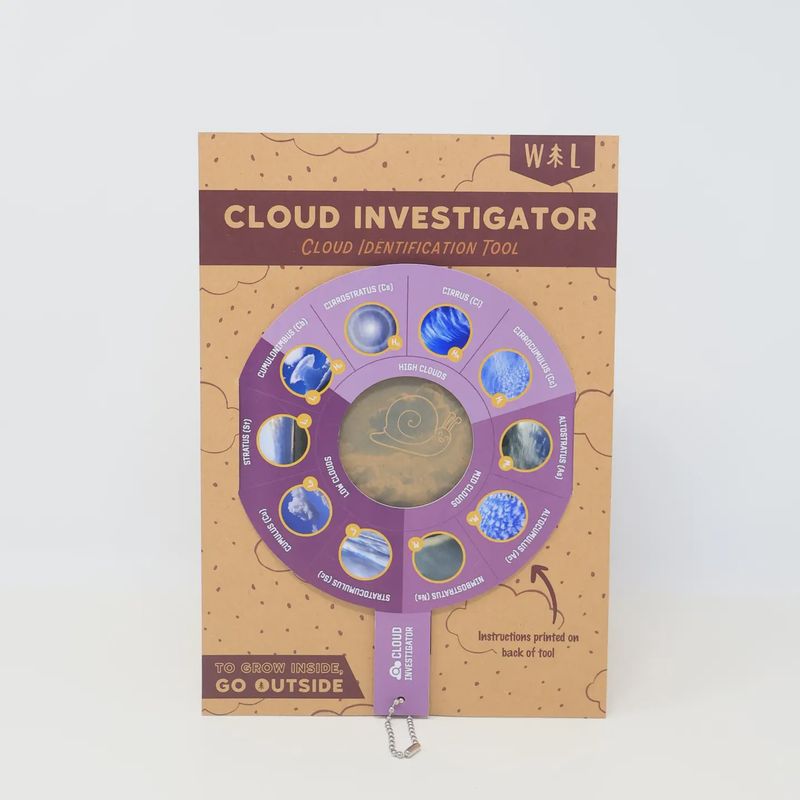 Cloud Investigator