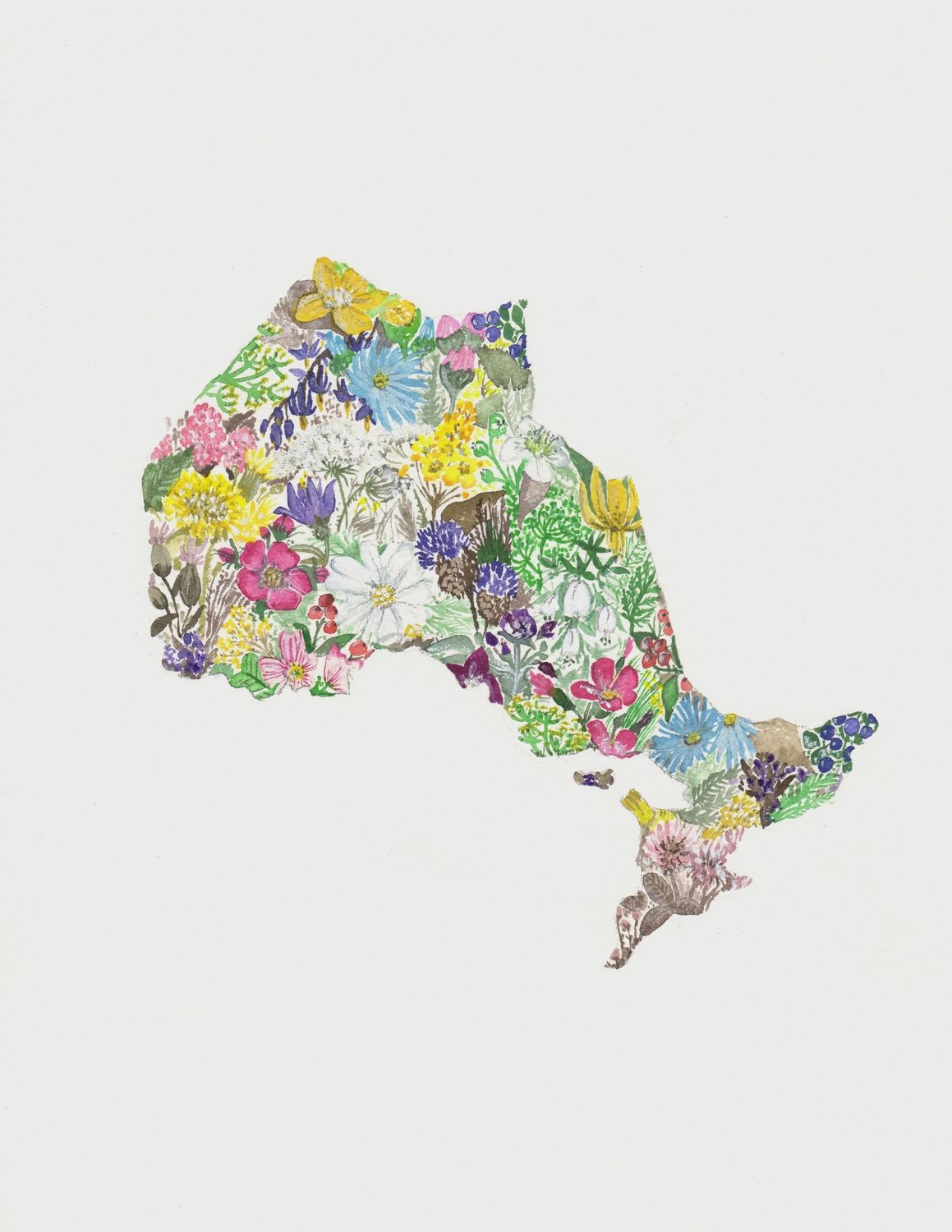 Watercolor Provincial Wildflower Prints, Design: Ontario