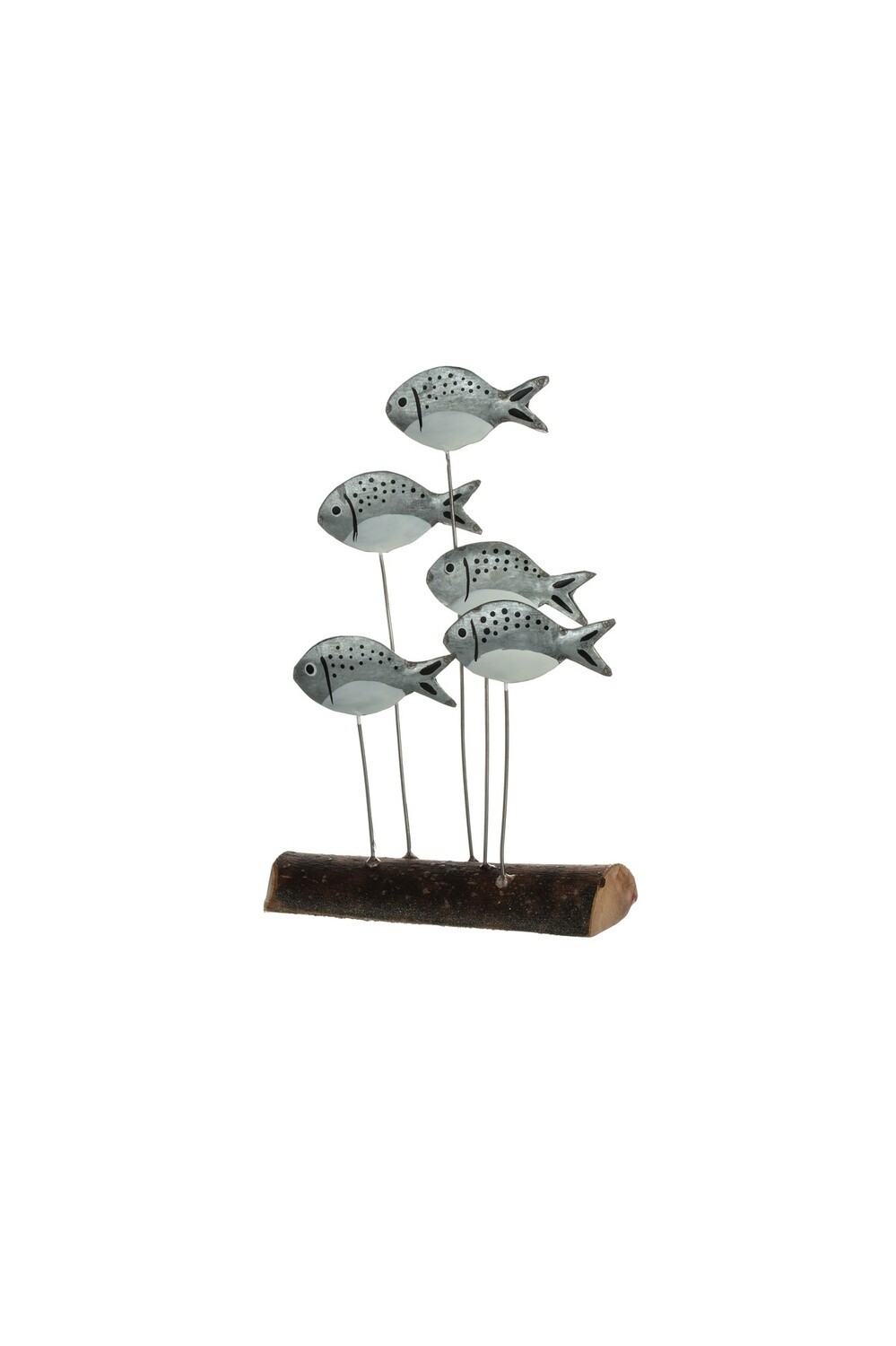 Chunky Silver Bream - Sea Life