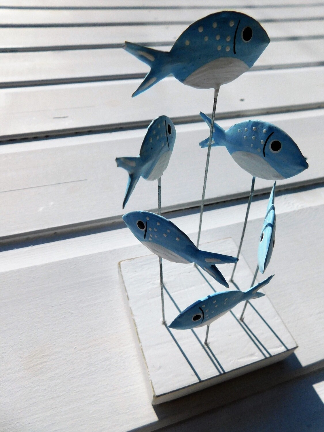 Swirl of Blue Bream - Sea Life