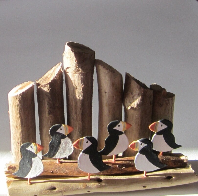 Six Puffins with Groynes