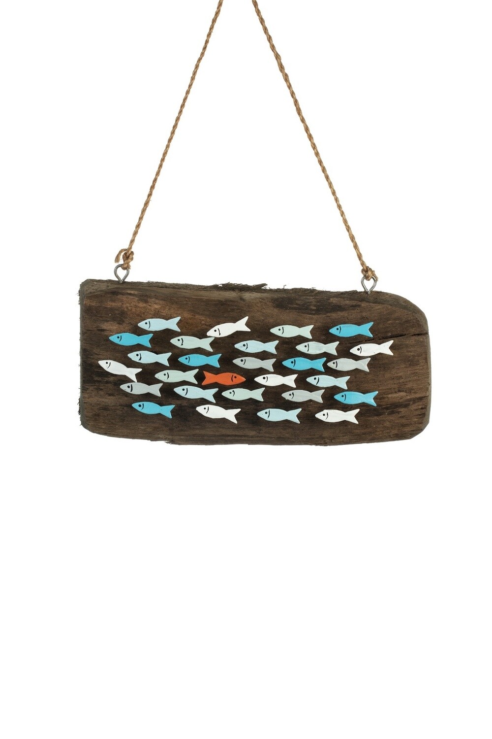 Mounted School of Anchovies - Sea Life