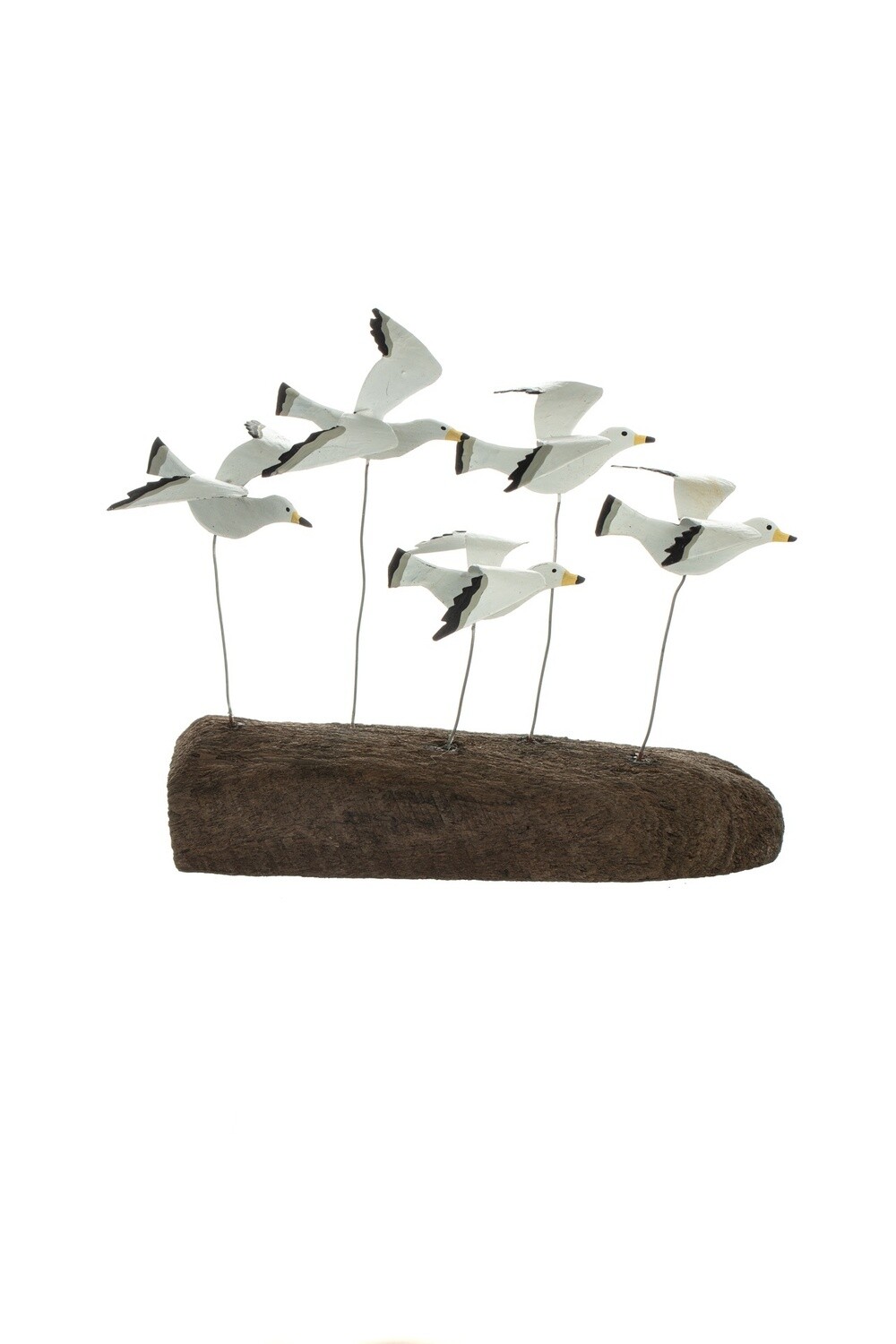 Seagulls Flying