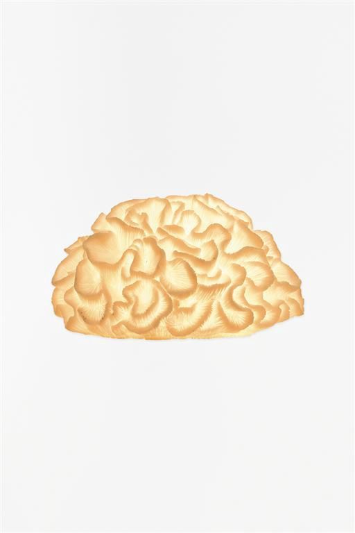 Coral Lamp - Plug in, Design: Wavey, Size: Small