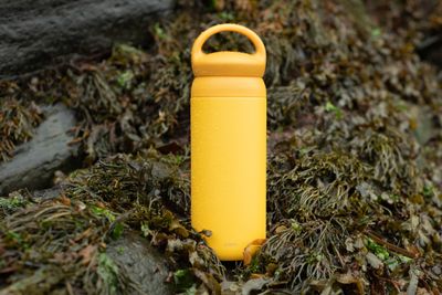 Flasks + Bottles