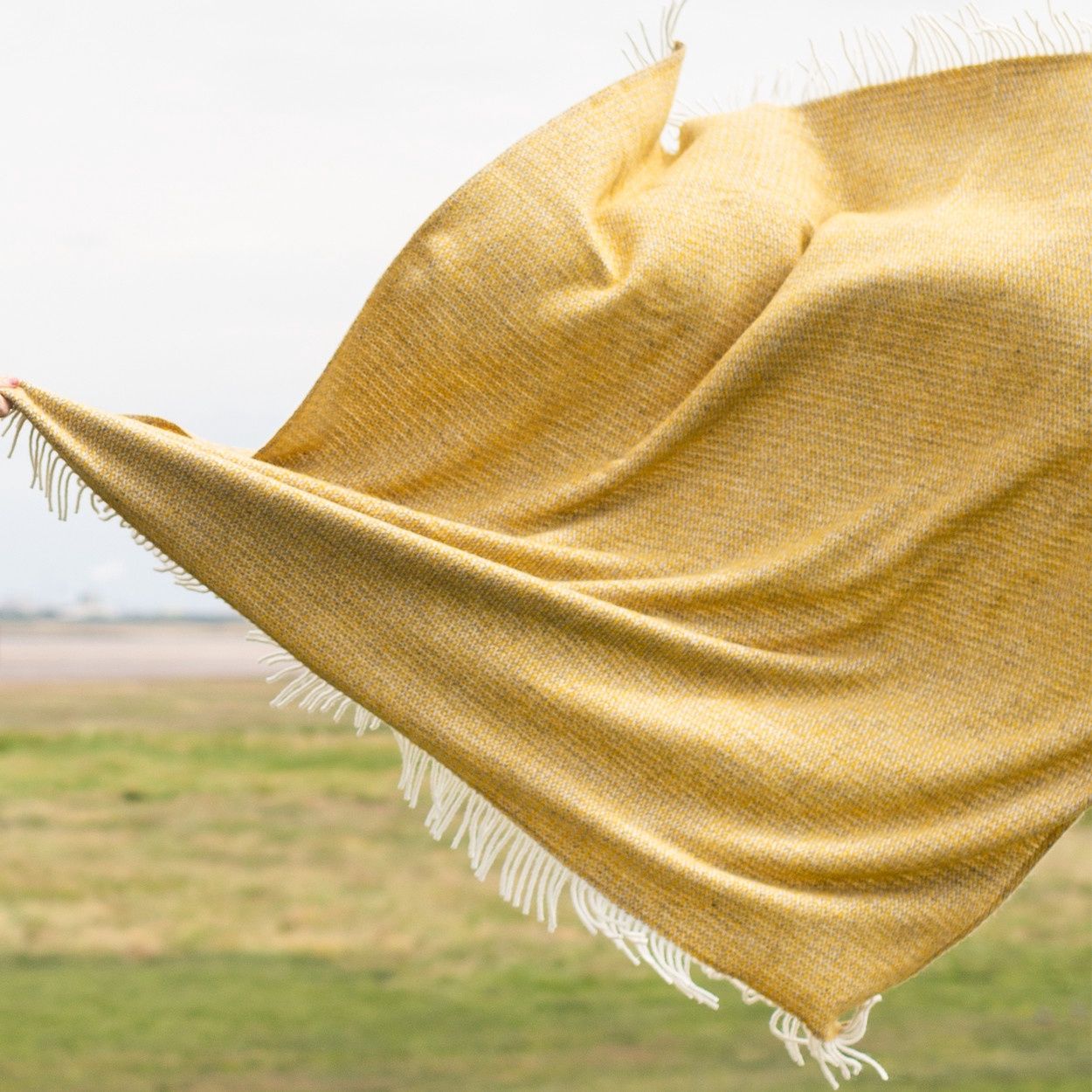 Wool Blanket