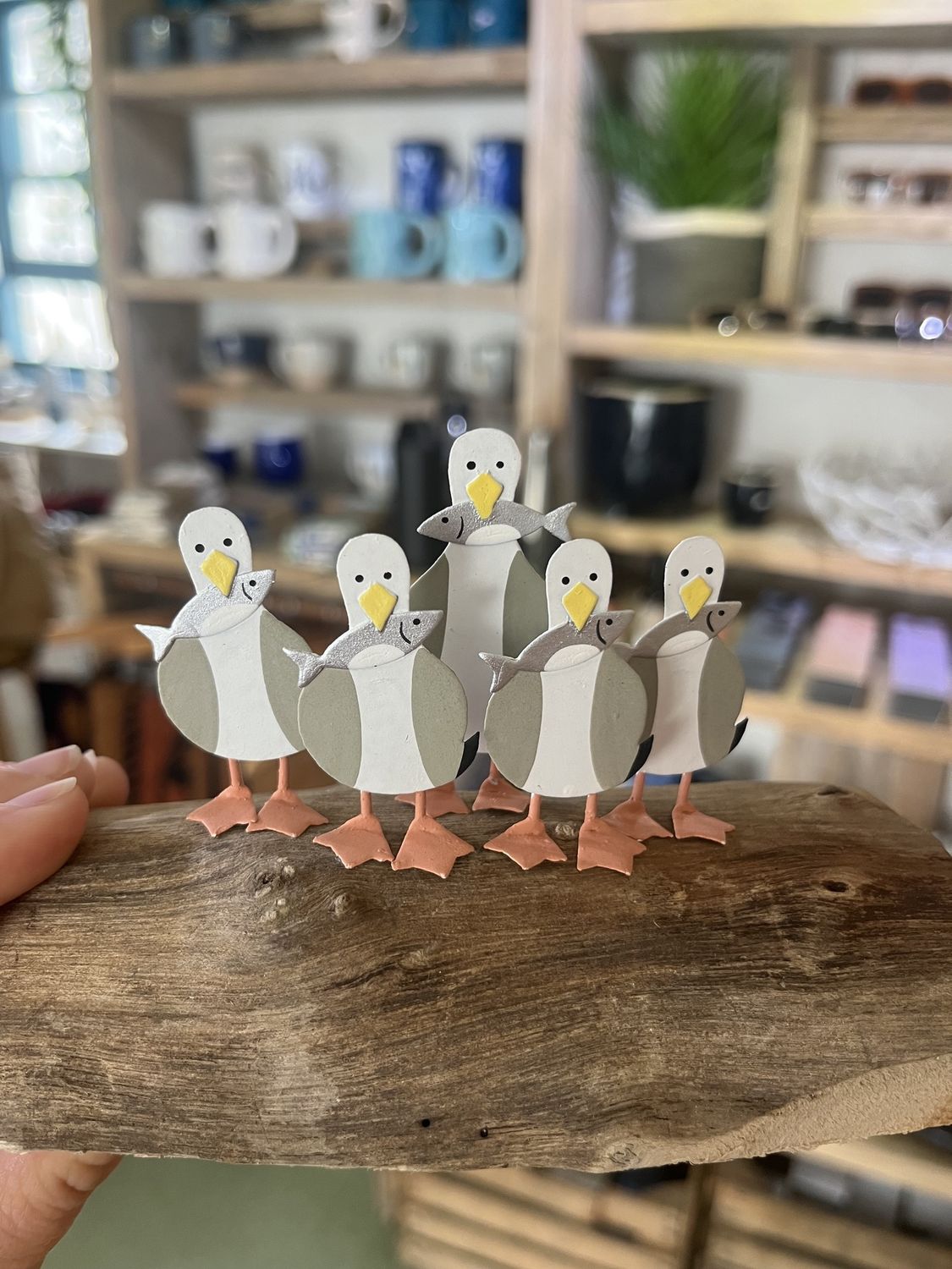 Seagulls on Log