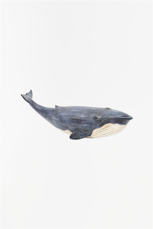 Blue Whale, Size: Small