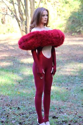 Elements 47 (Burgundy)
