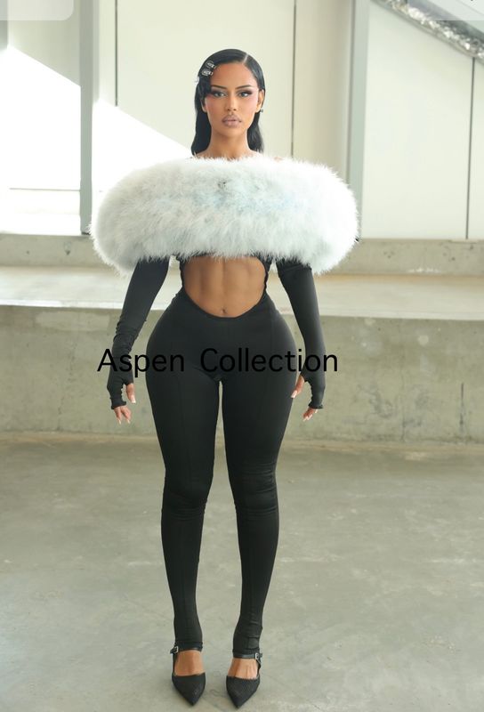 Aspen Collection