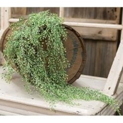 Little Luna Leaves Hanging Bush, 34&quot;