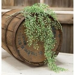 Little Luna Leaves Hanging Bush, 24&quot;