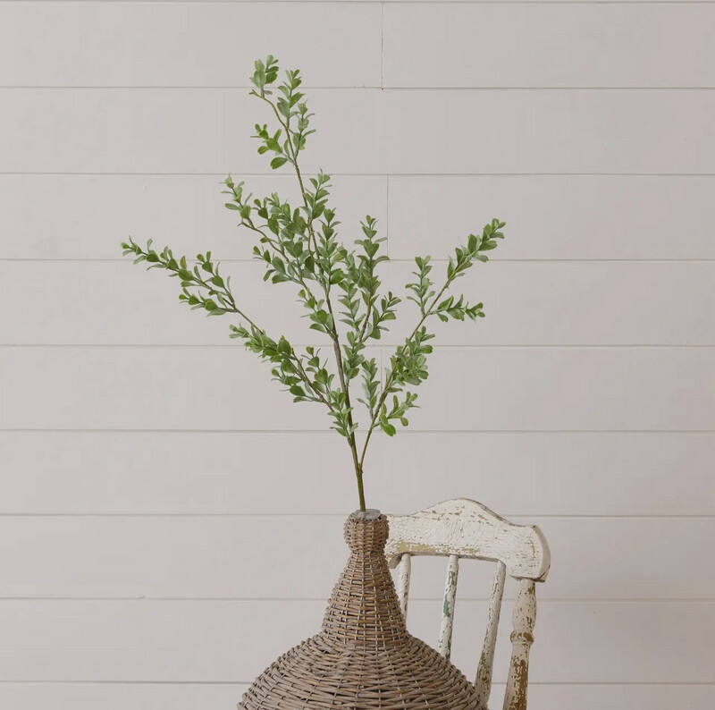 Thyme Stems