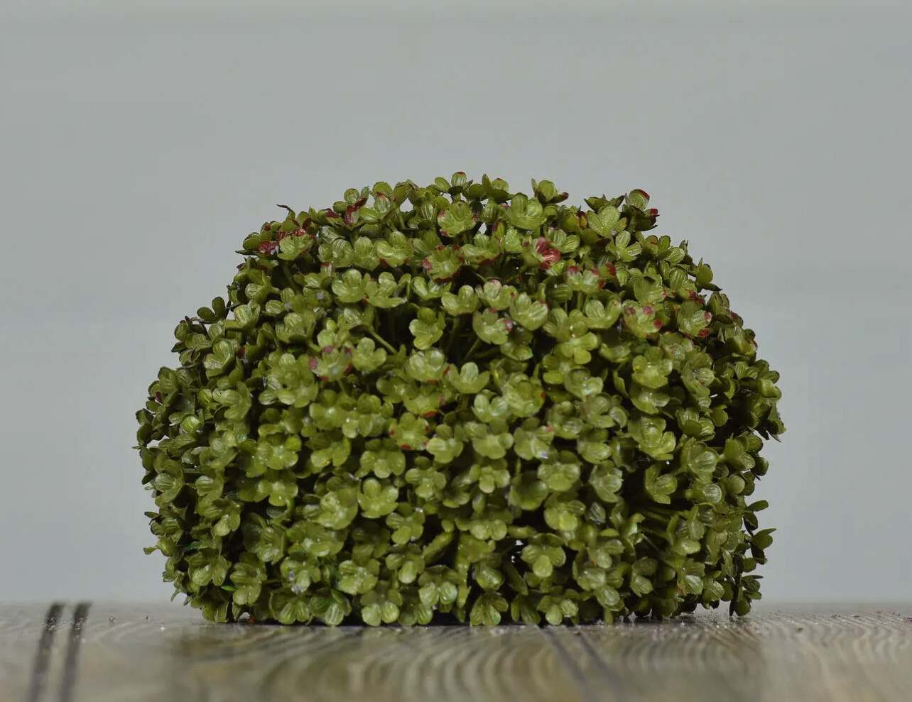 Green Grass Orbe