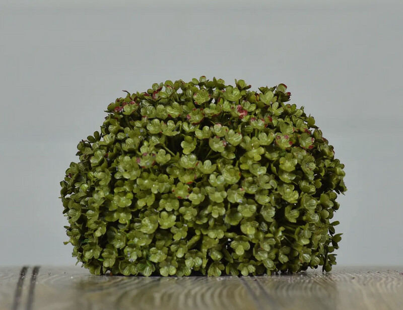 Green Grass Orbe