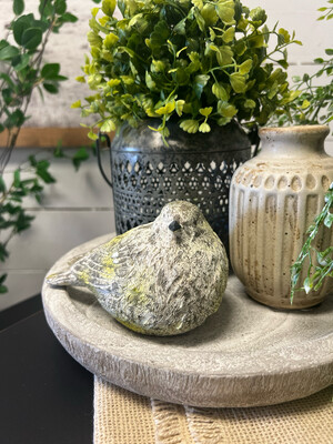 CLEARANCE/ Resin Bird with Cement Moss Finish
