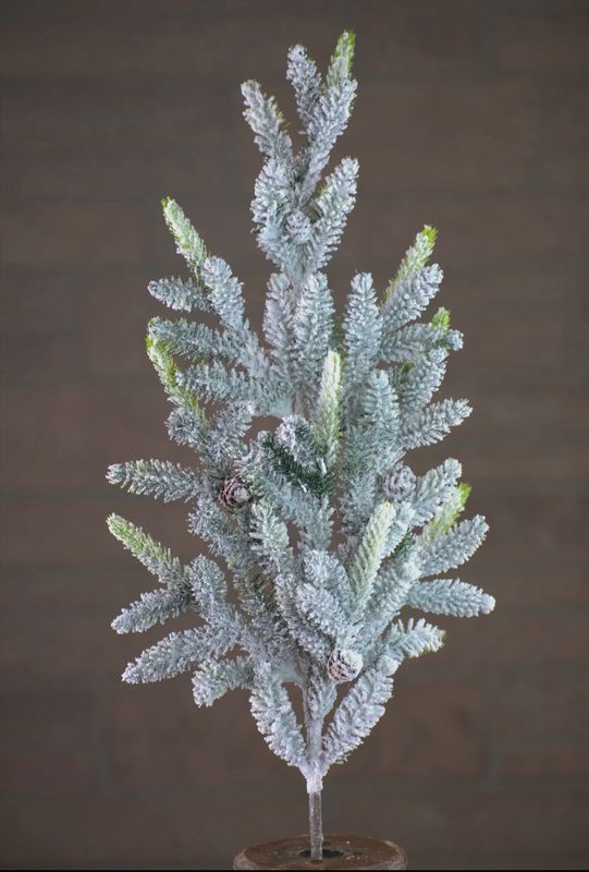 Frosted Spruce Pick
