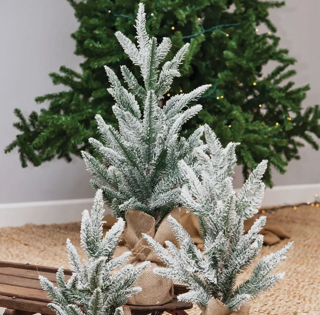 Snowy White Tree