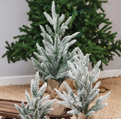 Snowy White Tree