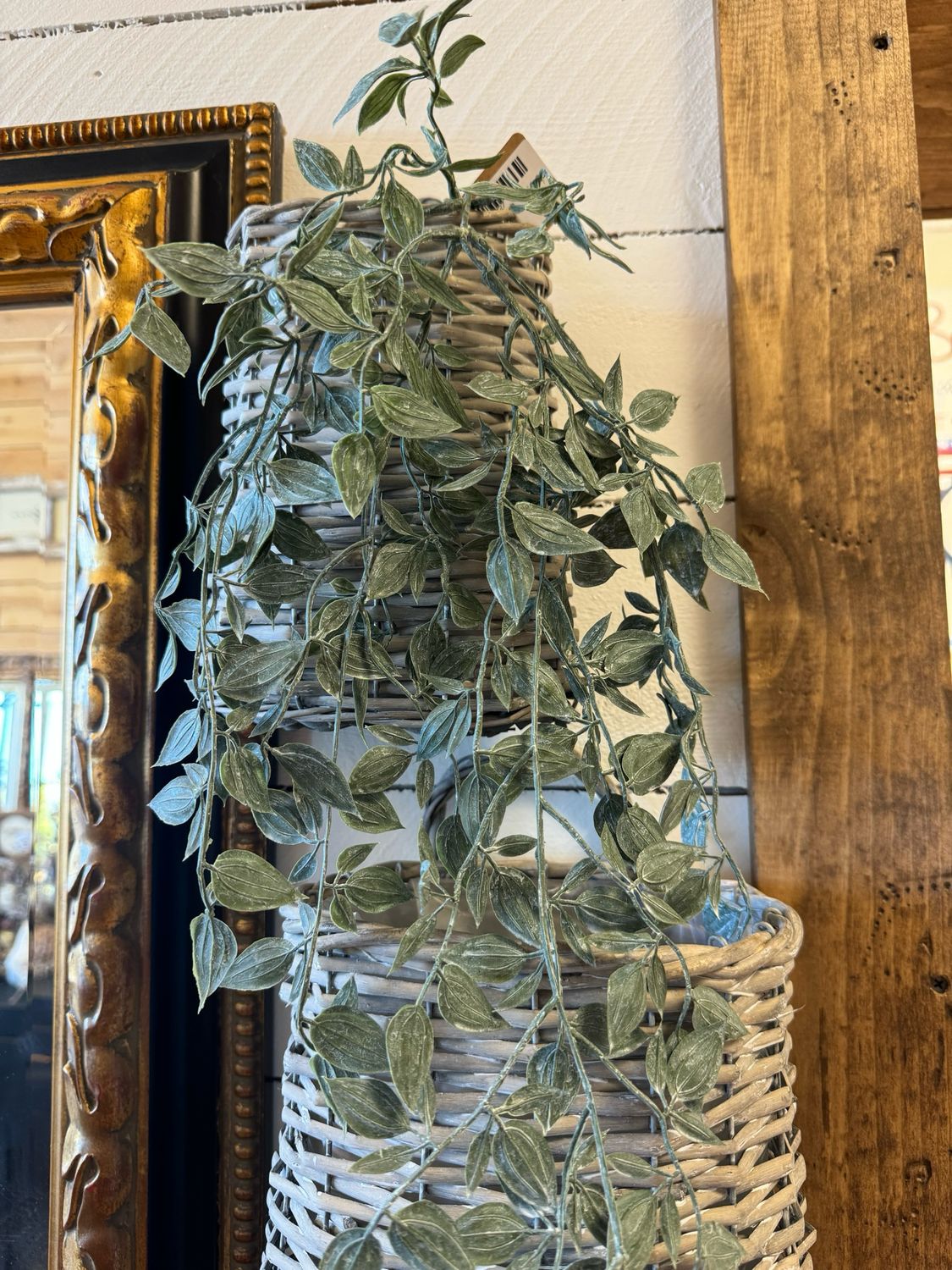 Dusty Green Leaf Bush