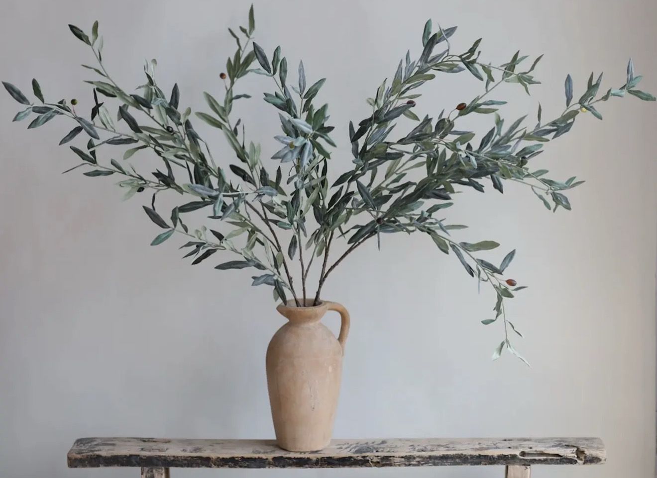 Olive Branch Stem