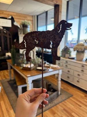 Golden Retriever Dog Garden Pick