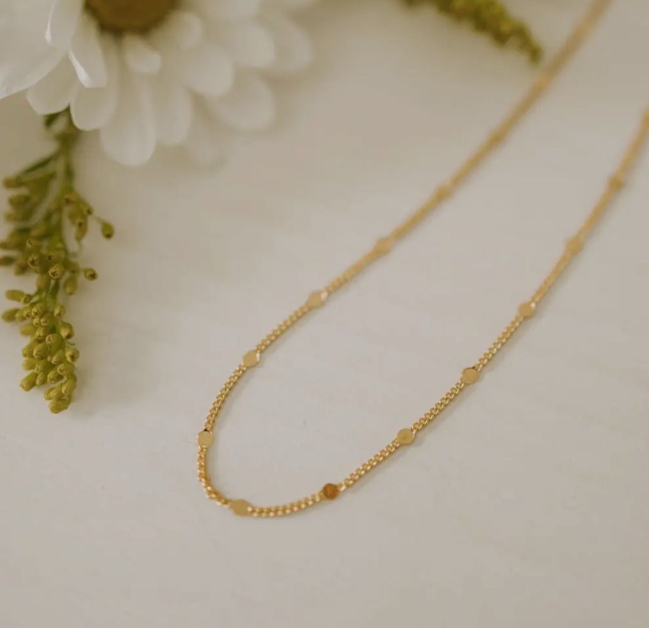 Nora Gold Filled Necklace