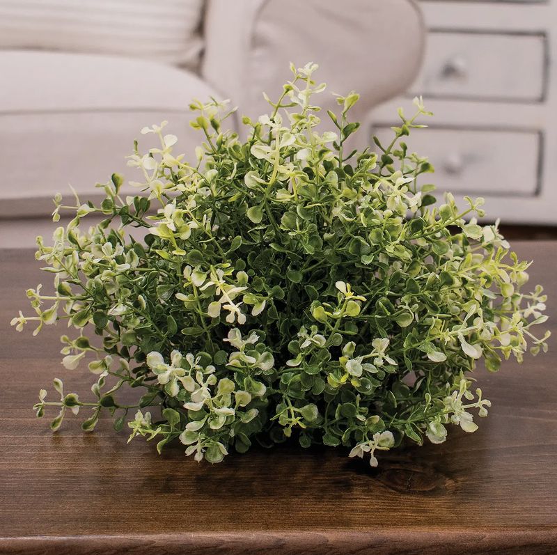 Cream Tipped Baby&#39;s Grass Half Sphere