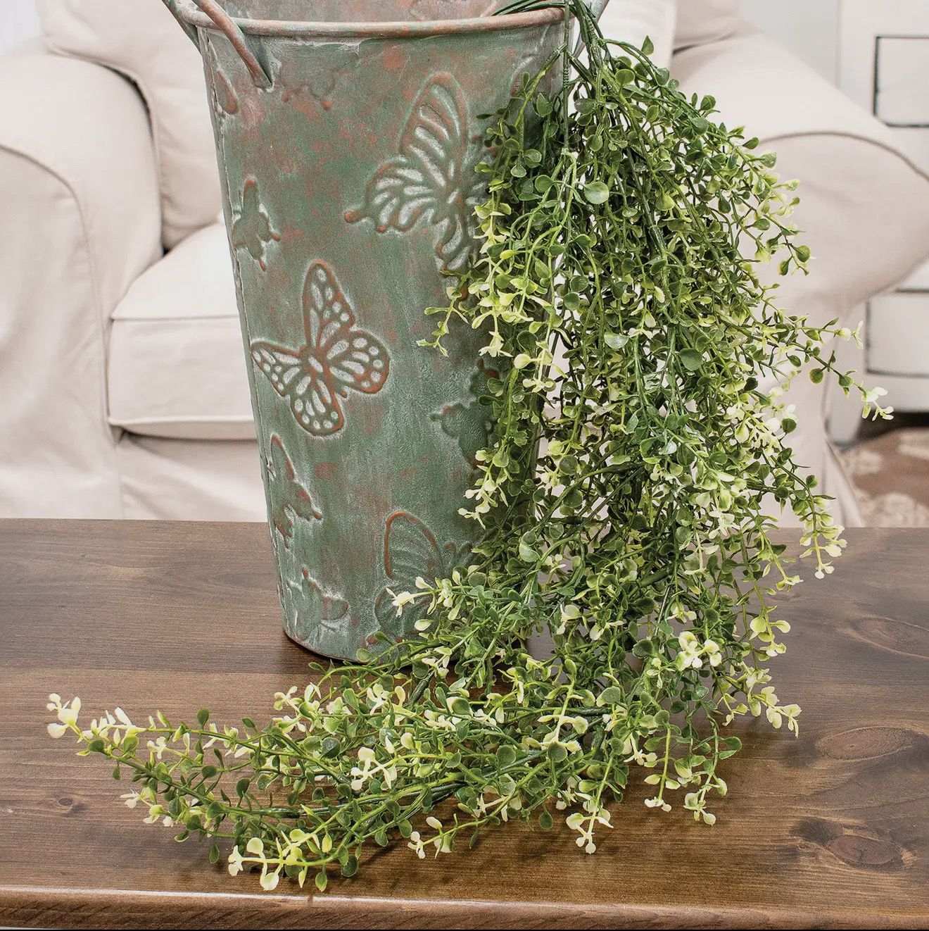 Cream Tipped Baby&#39;s Grass Hanging Bush
