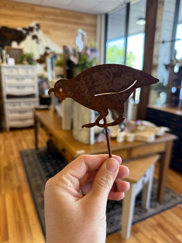 Baby Quail Garden Pick