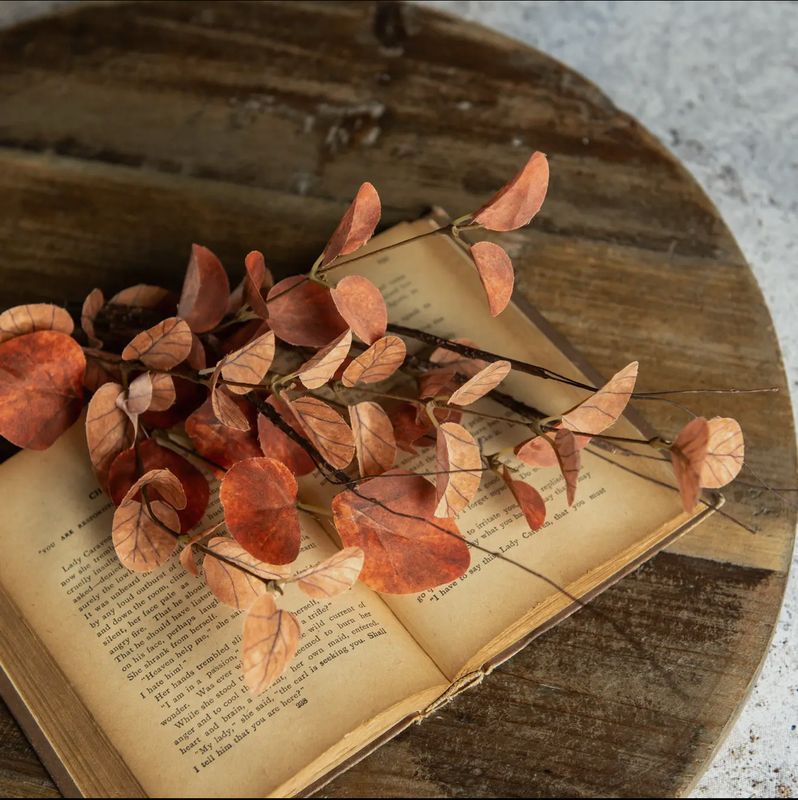 19.5” Orange Eucalyptus &amp; Twig Pick