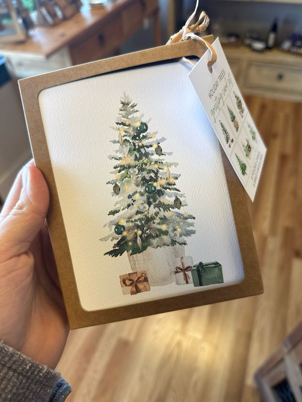 Christmas Greeting Card Pack