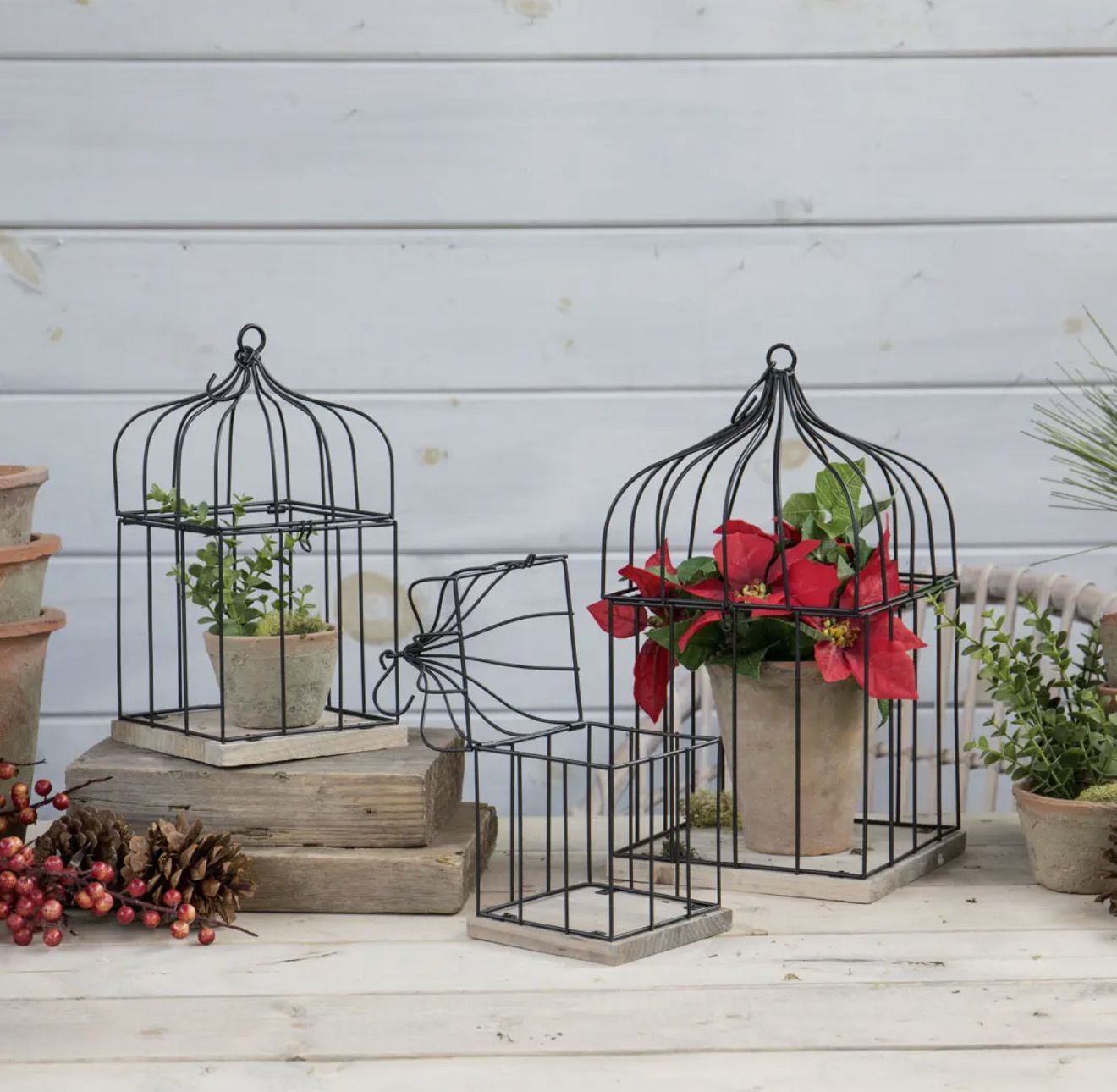 Rustic Birdcage Decor