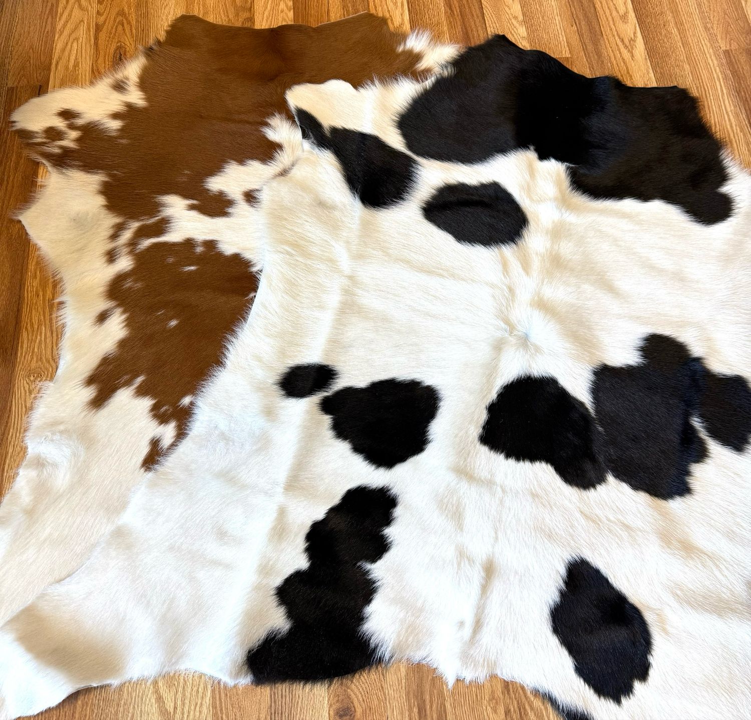 Small Cowhide