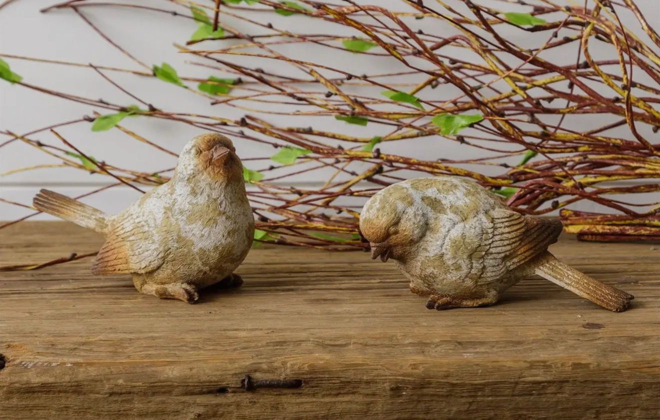 Natural Weathered Bird