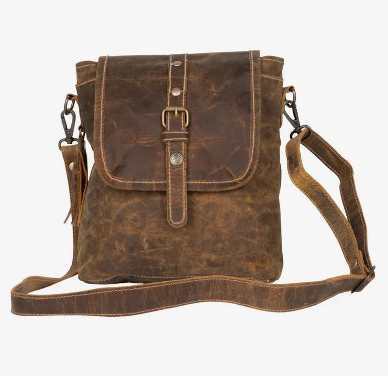 Brown Beauty Leather Bag